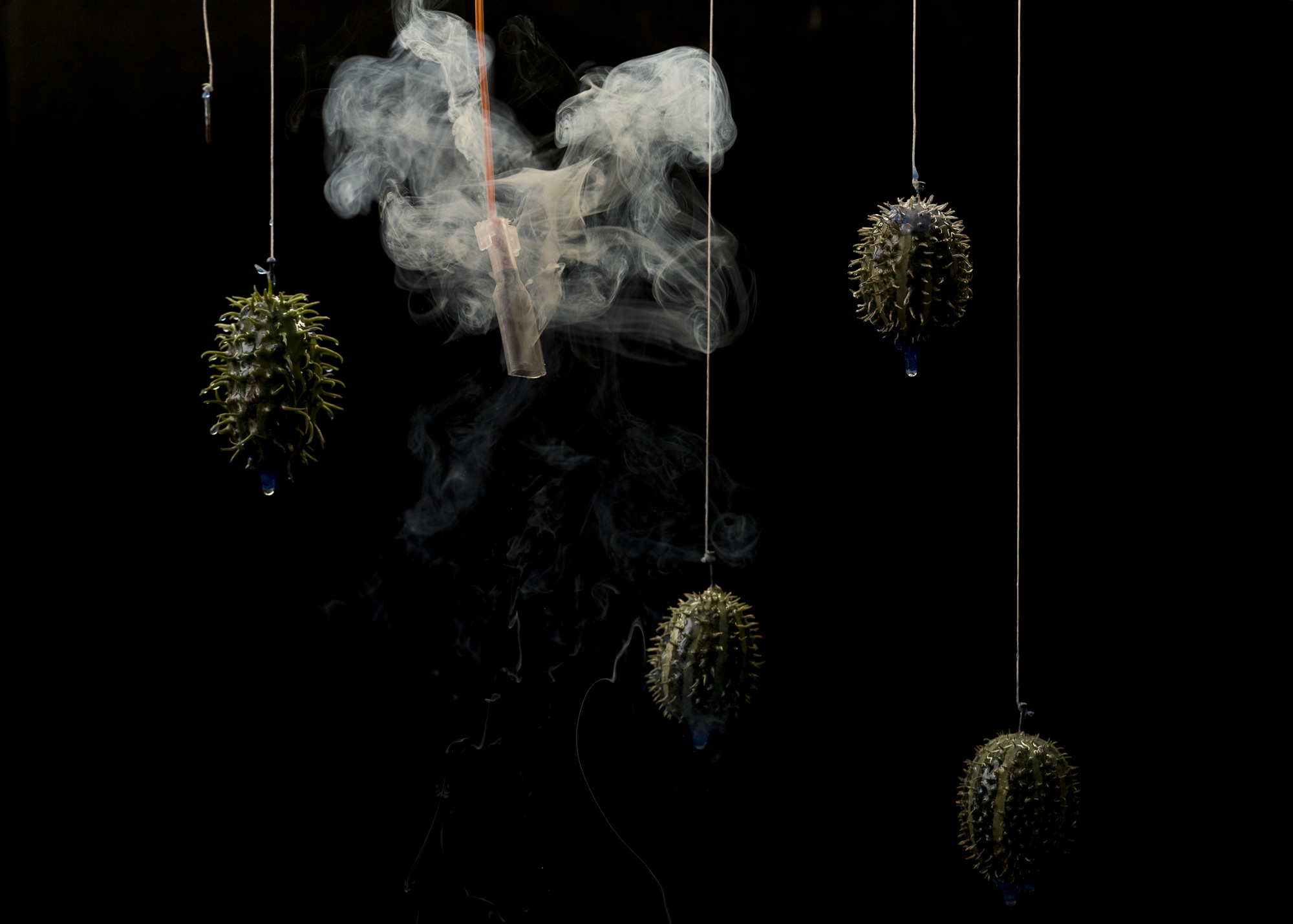 Paula Markert – Bang and smoke / Art Magazine / 2021 carlos_zambrano_1019.jpg